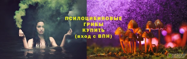 ALPHA-PVP Вяземский