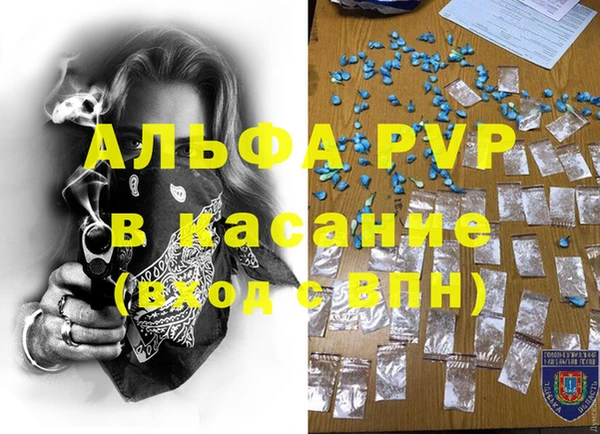 PSILOCYBIN Вязники