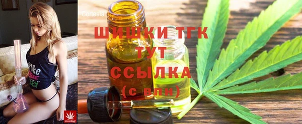 PSILOCYBIN Вязники
