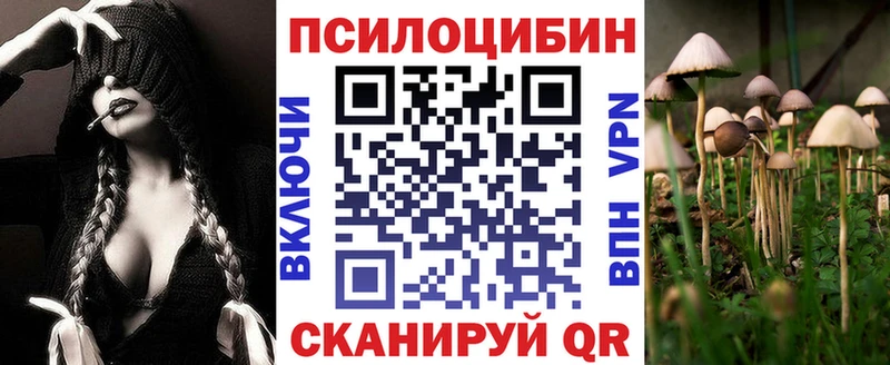 Псилоцибиновые грибы Cubensis  OMG как зайти  Уфа 